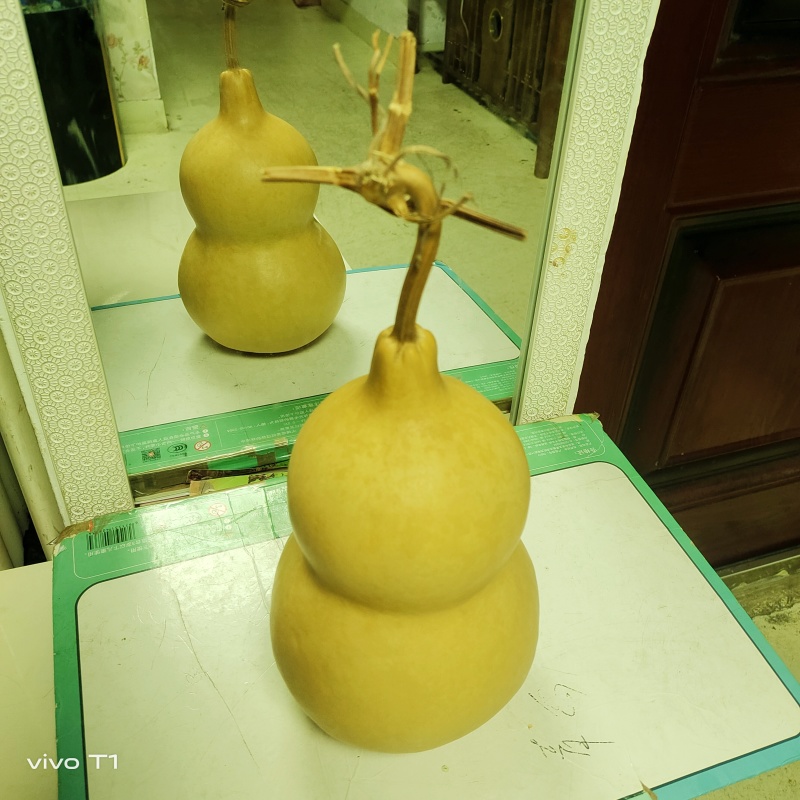 葫芦
