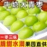 云霄火田青枣
