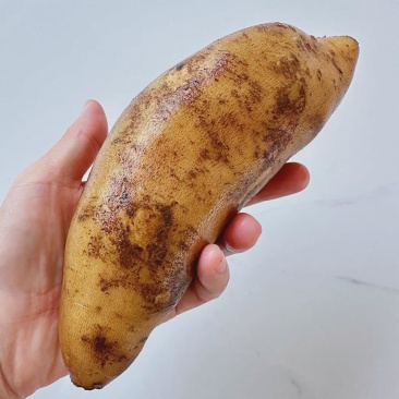 雪莲果