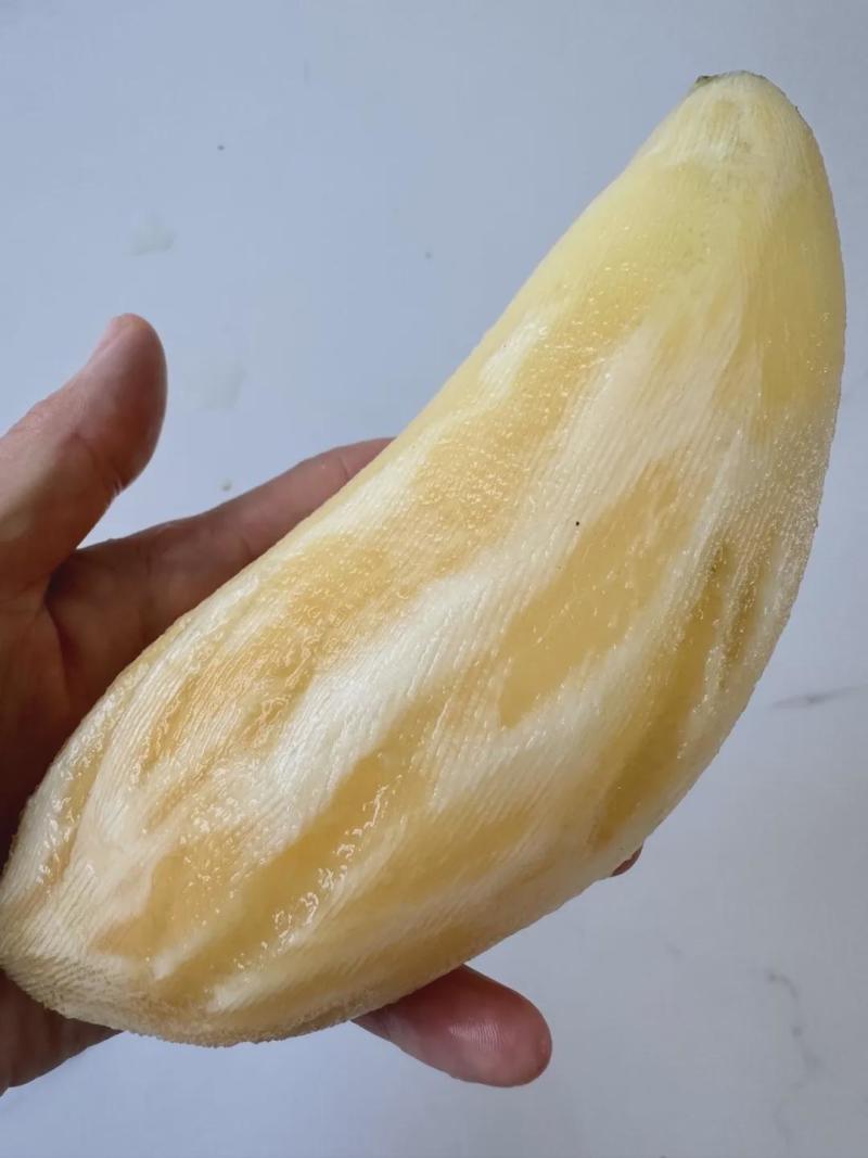 雪莲果