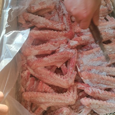 出售一级大鹅翅还有10吨