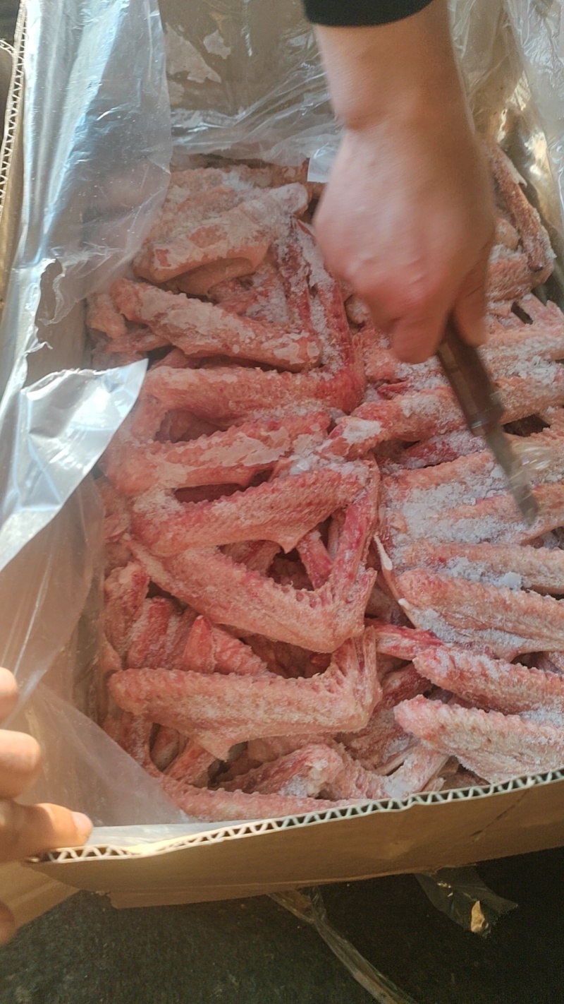 出售一级大鹅翅还有10吨