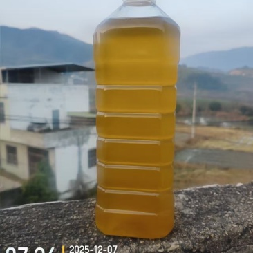 湖北山茶油