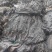 福建无沙海带