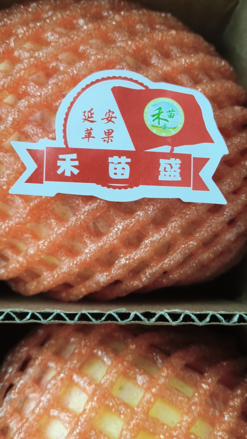 陕西红富士苹果