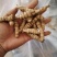 螺丝菜螺丝菜地环菜箱子📦装袋子装
