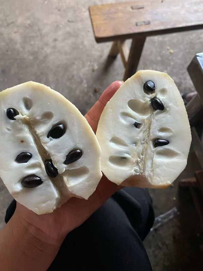 释迦果