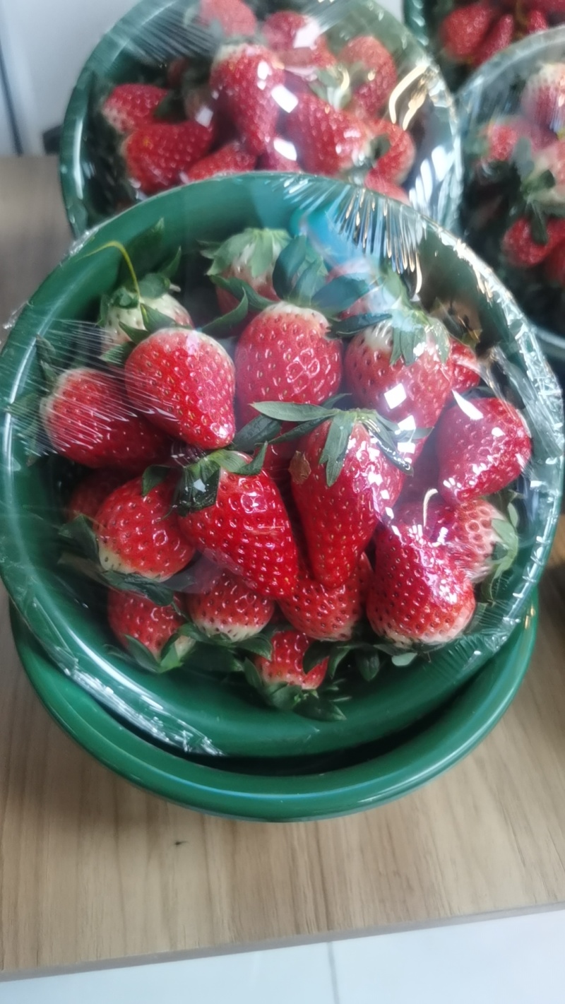 章姬草莓
