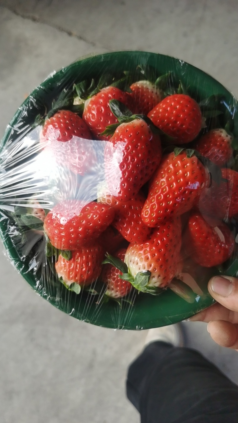 章姬草莓