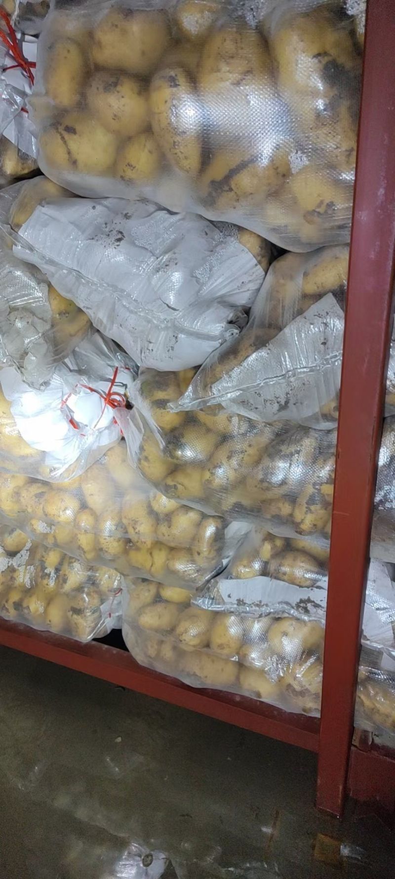 冷库荷兰十五土豆