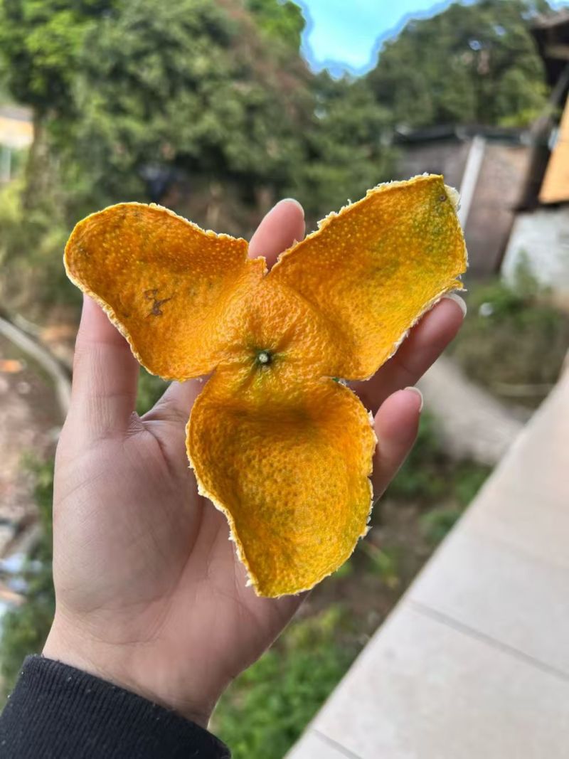 自产自销陈皮保质保量欢迎联系预订