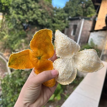 自产自销陈皮保质保量欢迎联系预订