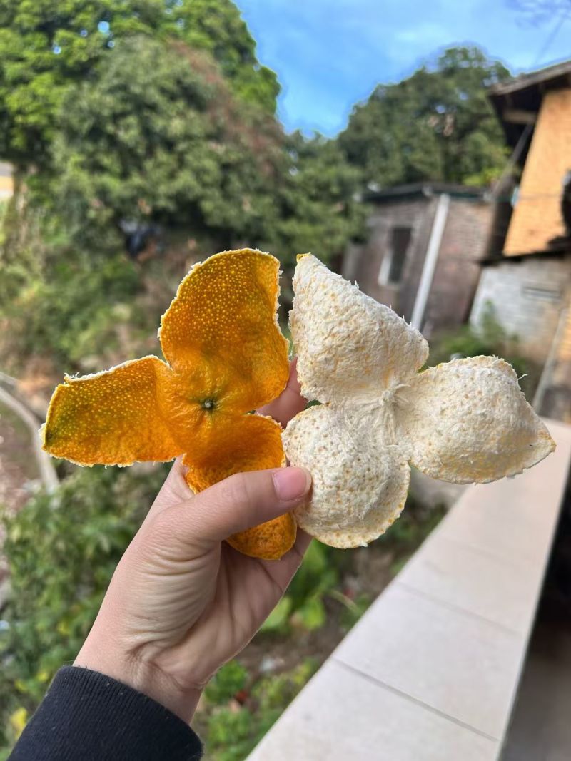 自产自销陈皮保质保量欢迎联系预订