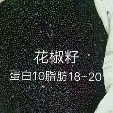 新季花花椒籽！高蛋白高脂肪，长膘快。低价合同。