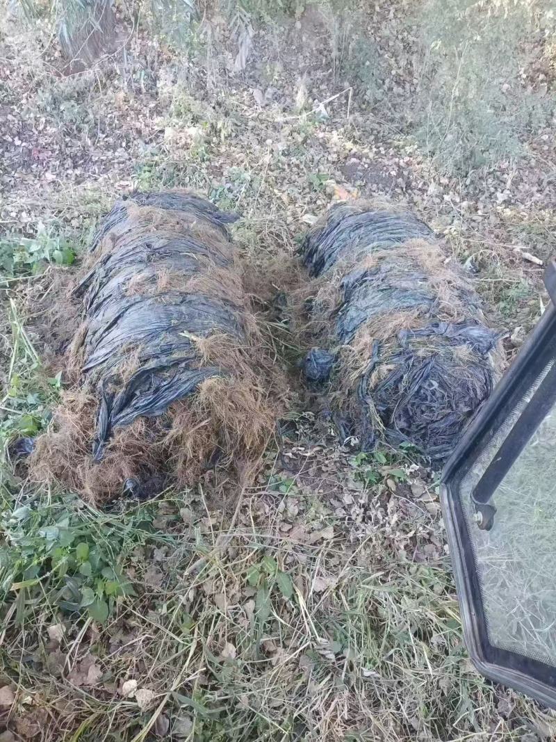残膜回收机地膜清理机打捆式残膜回收机