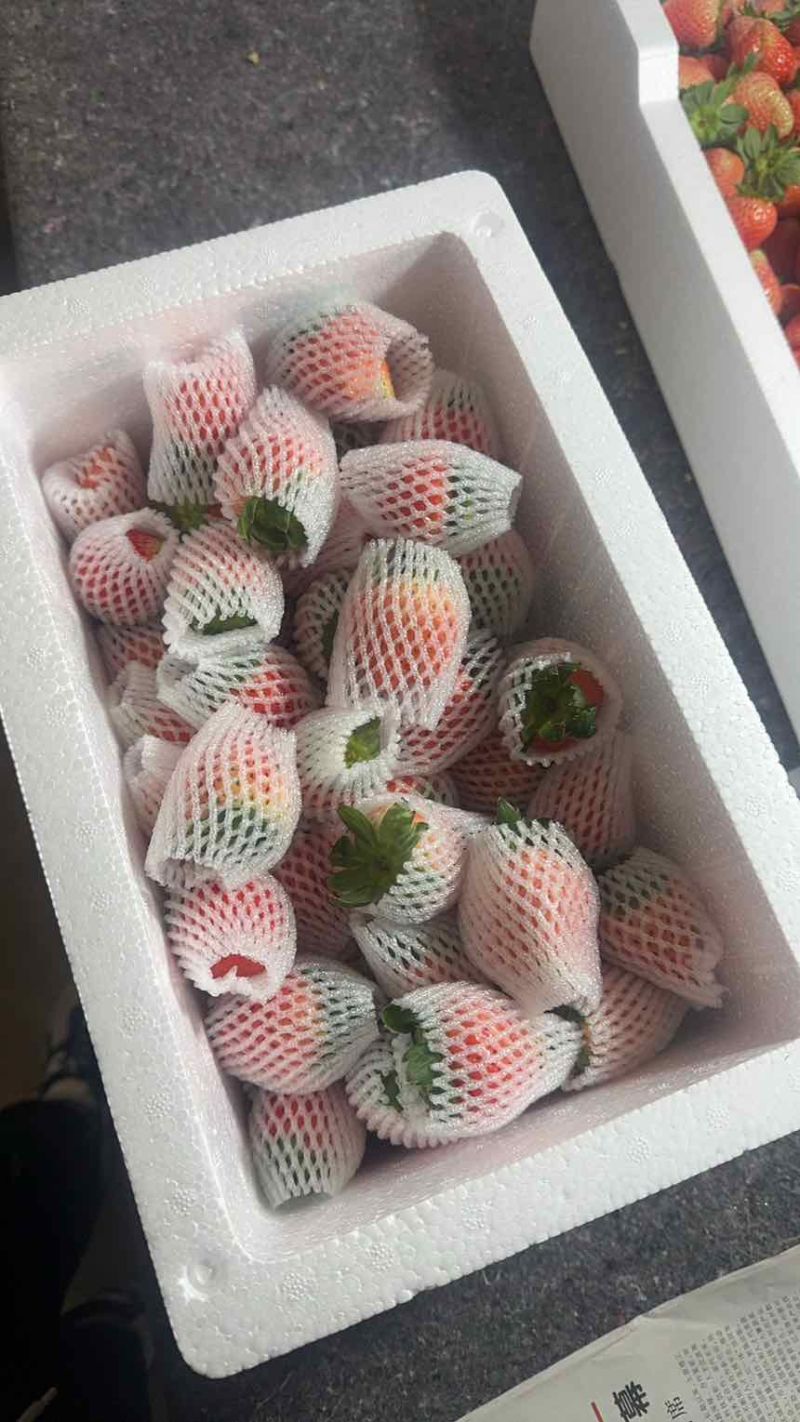 草莓