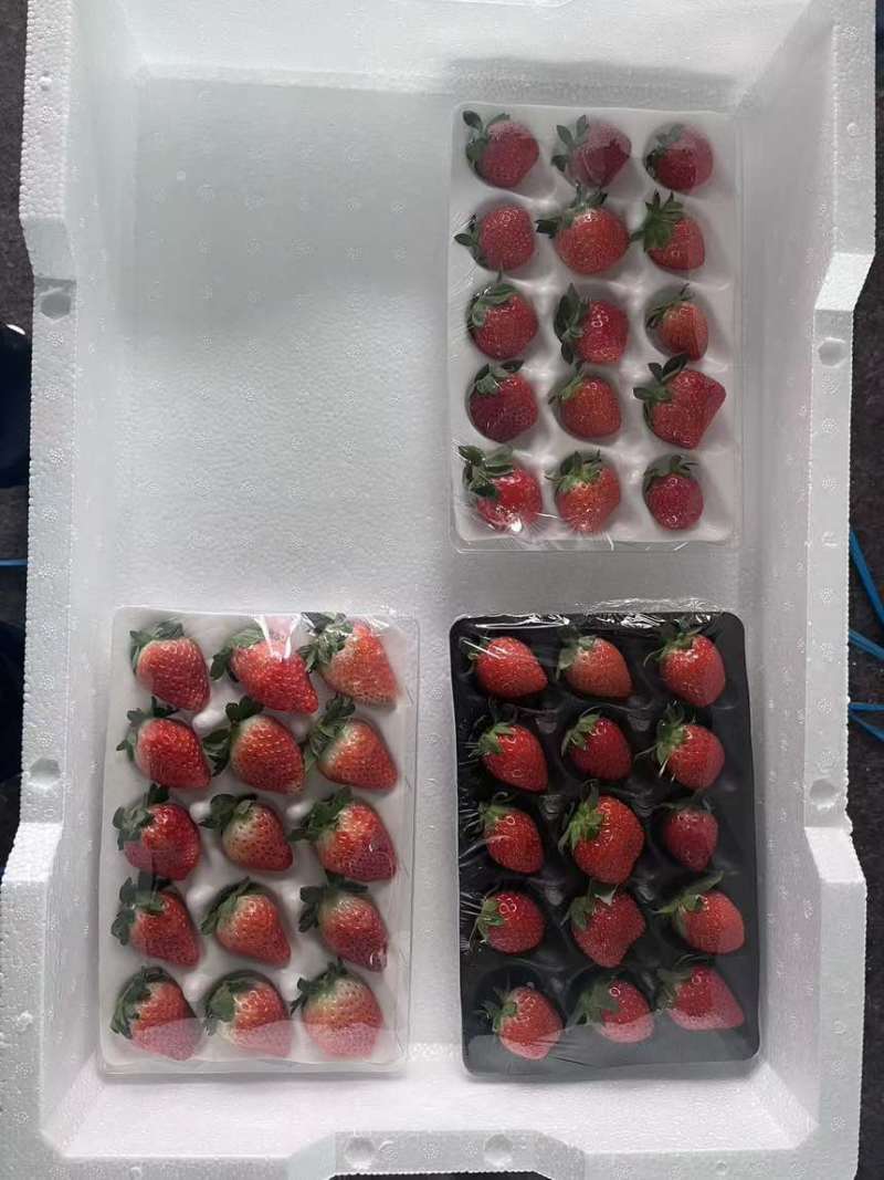 草莓