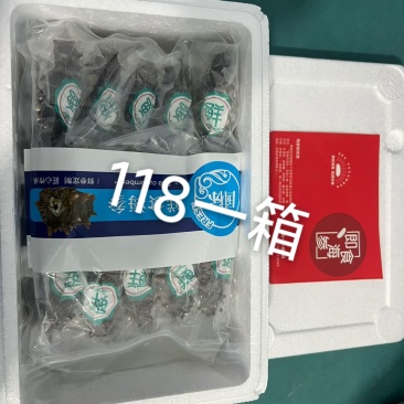 威海海参礼盒只要108