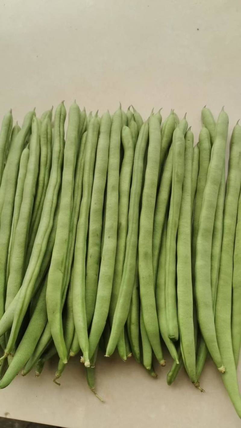 云南潞江蔬菜小金豆
