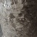竹荪干货