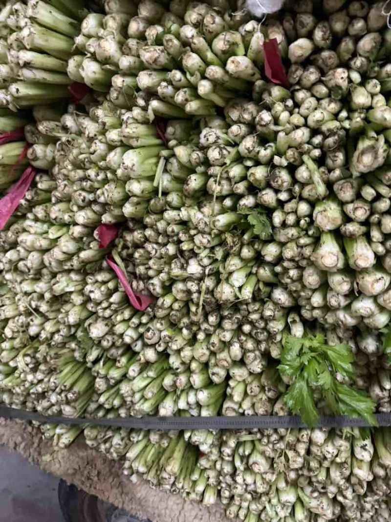 芹菜