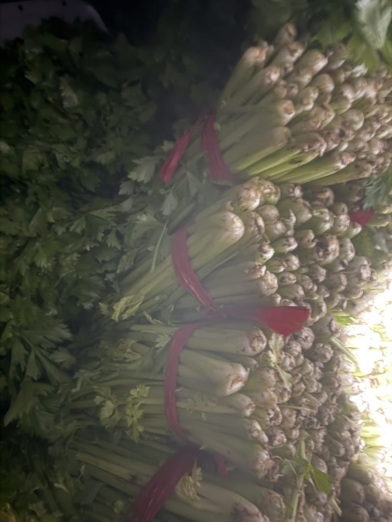 芹菜