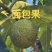 面包果