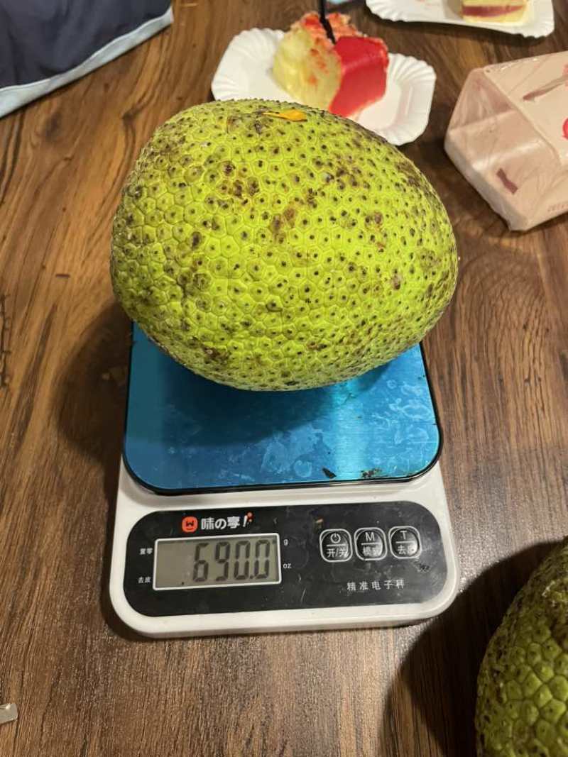 面包果