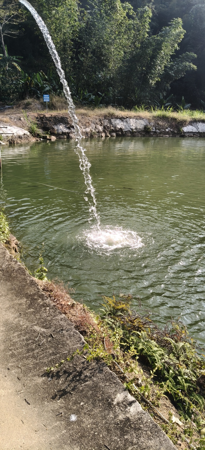 福建省漳州市南靖县南坑镇