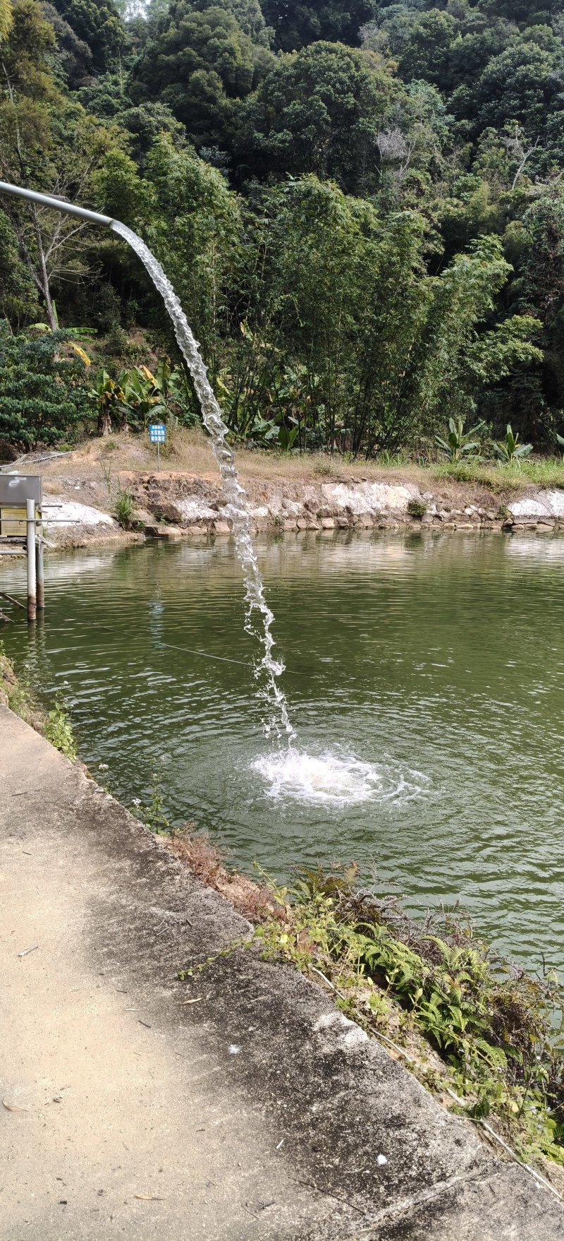 福建省漳州市南靖县南坑镇