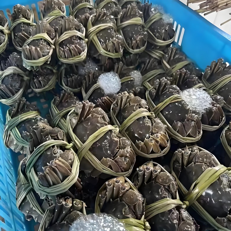 江苏大闸蟹