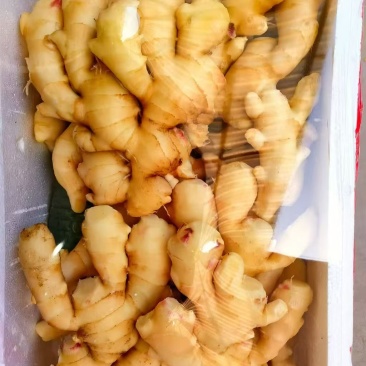生姜