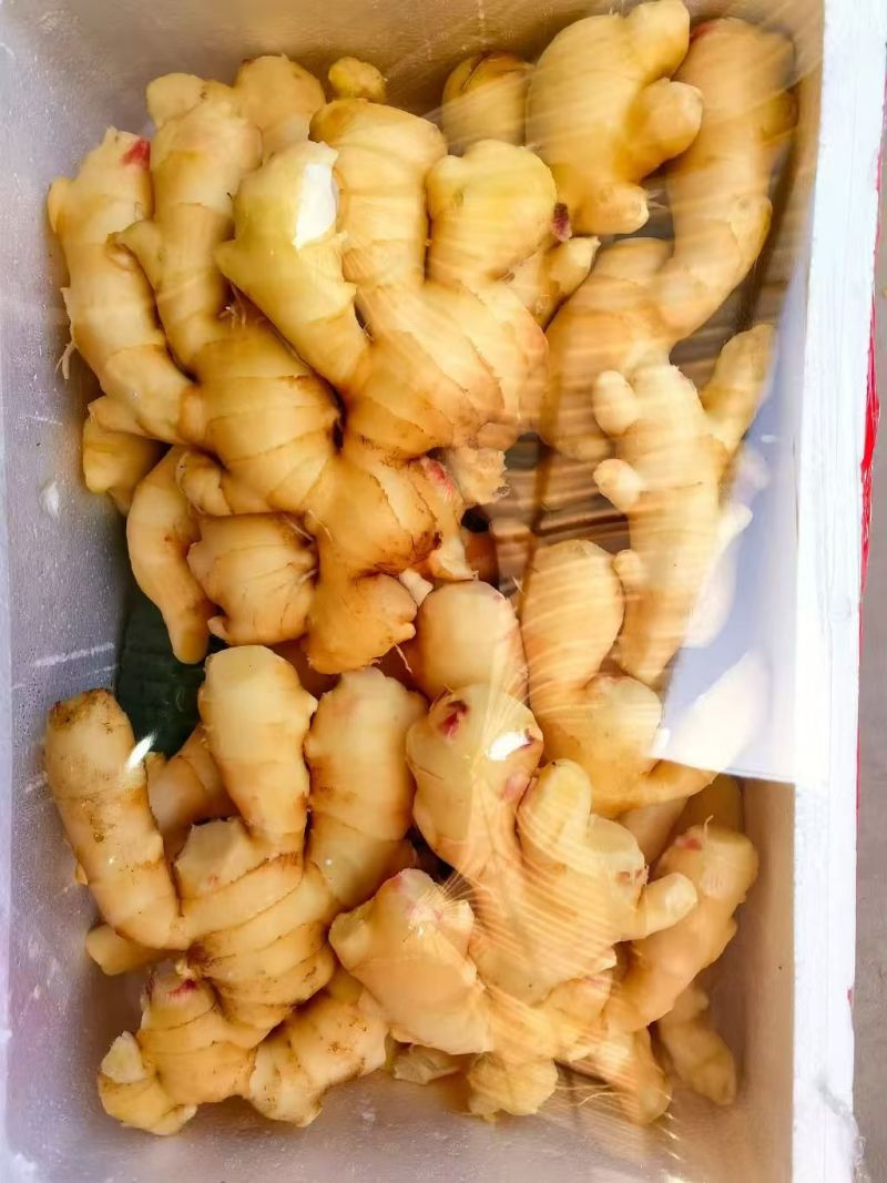 生姜