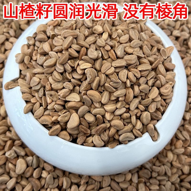 全新山楂籽，天然***，颗粒大圆润，五棱角，干净卫生