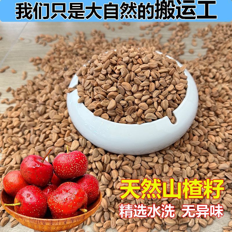 全新山楂籽，天然***，颗粒大圆润，五棱角，干净卫生