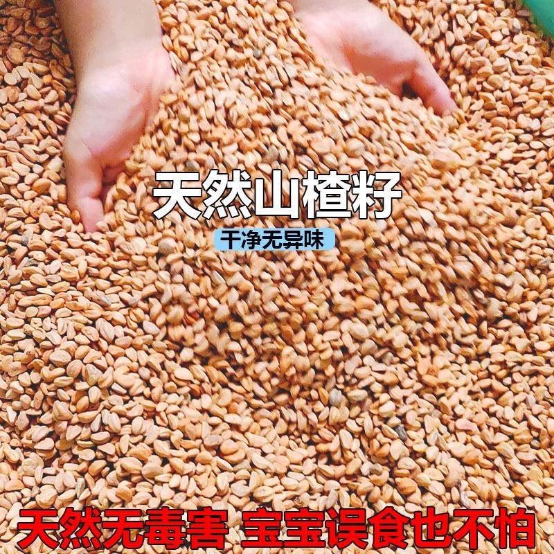 全新山楂籽，天然***，颗粒大圆润，五棱角，干净卫生