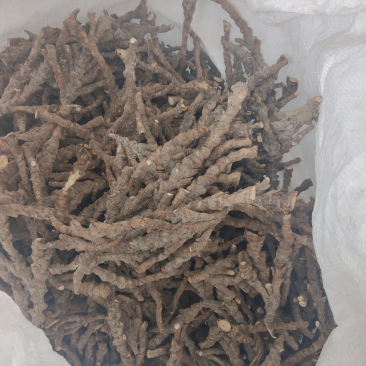 石菖蒲