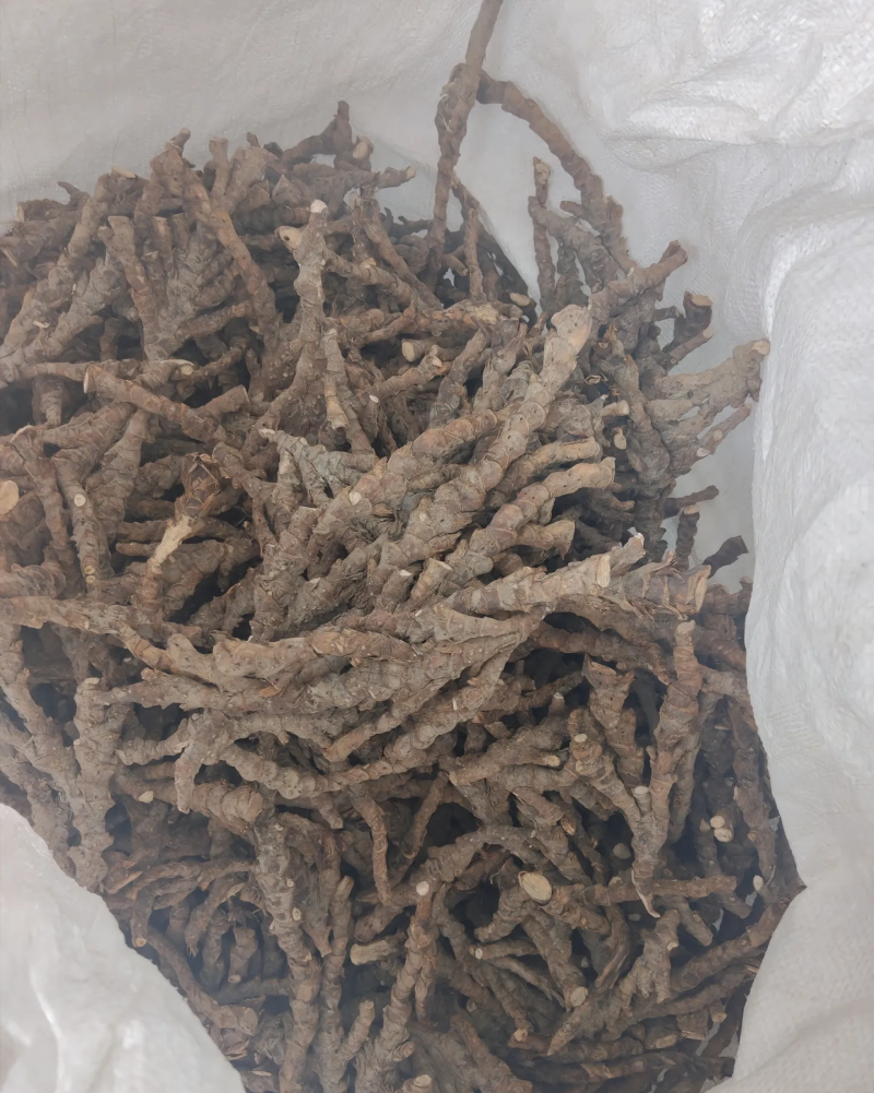 石菖蒲