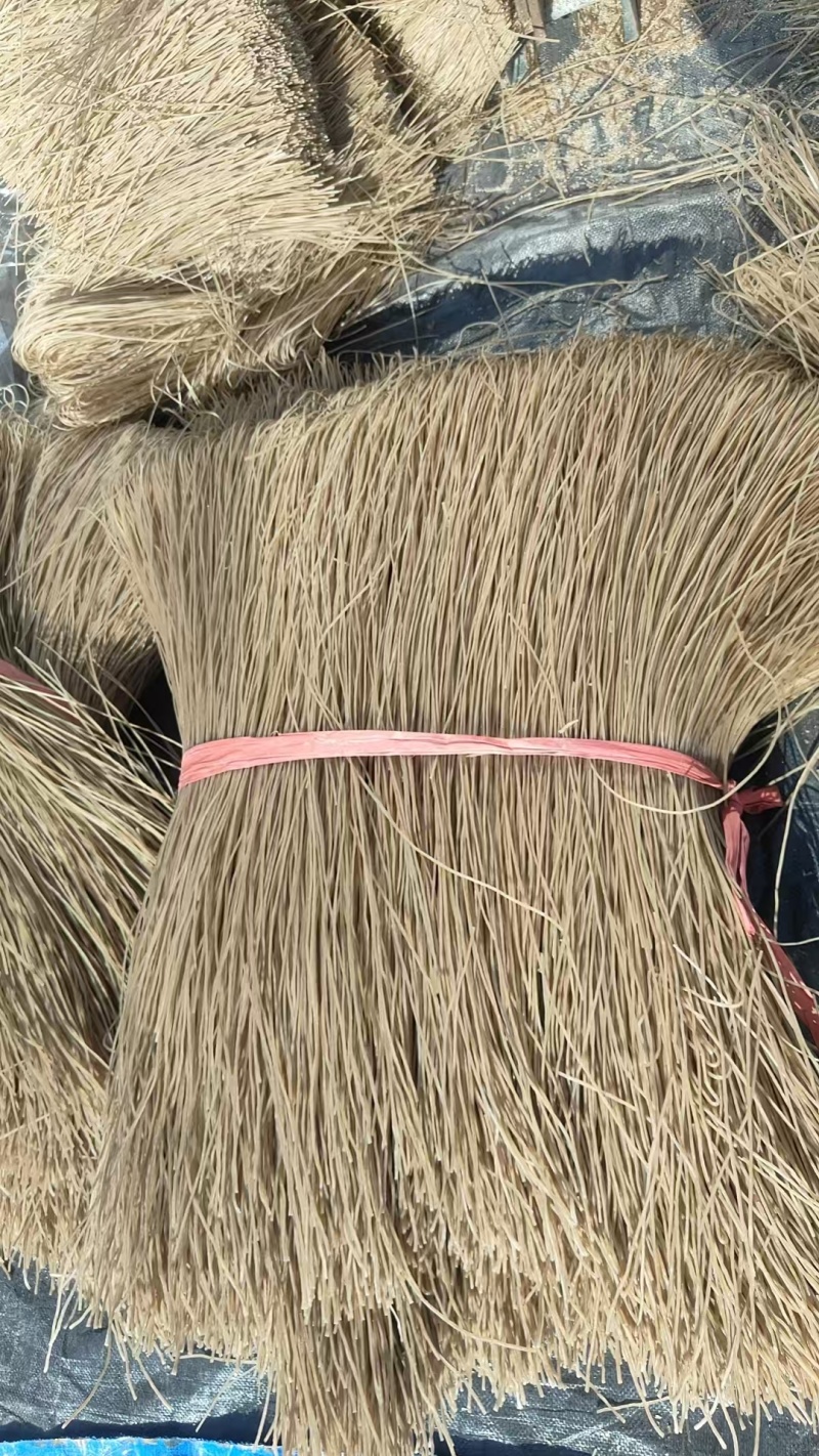 粉丝