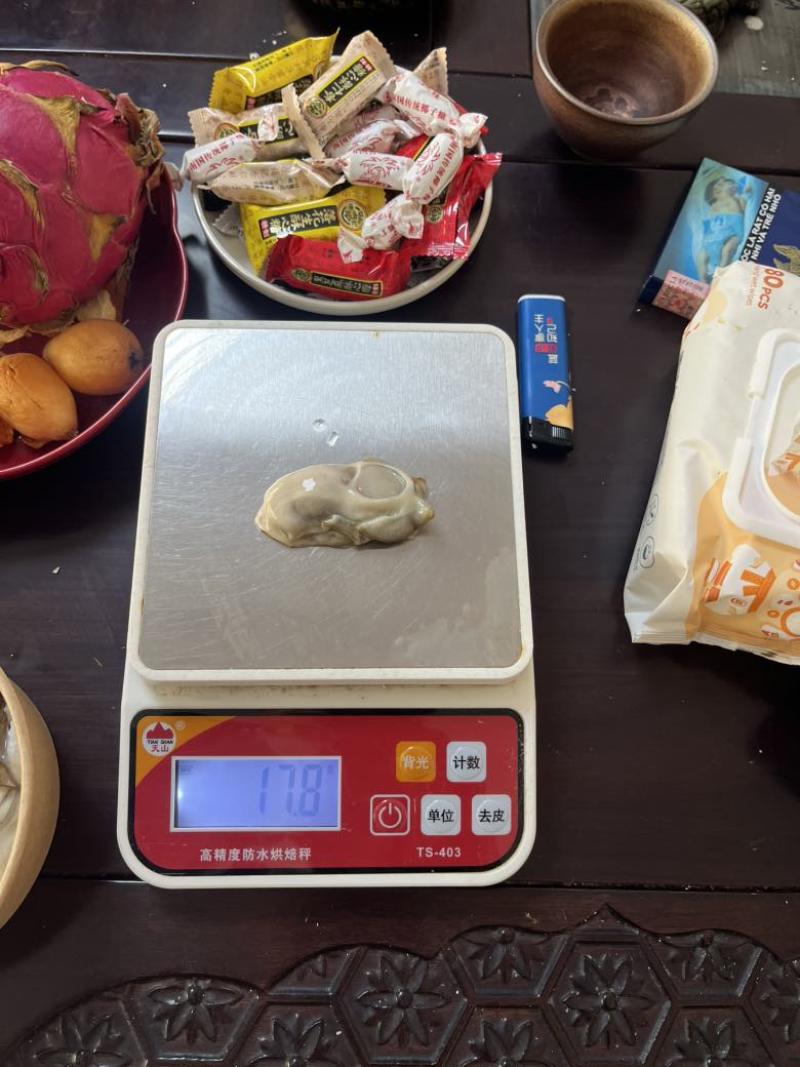 新鲜活蚝现开生蚝肉，15一斤。