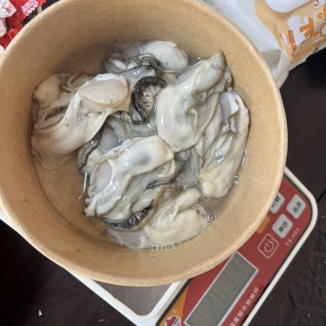 新鲜活蚝现开生蚝肉，15一斤。