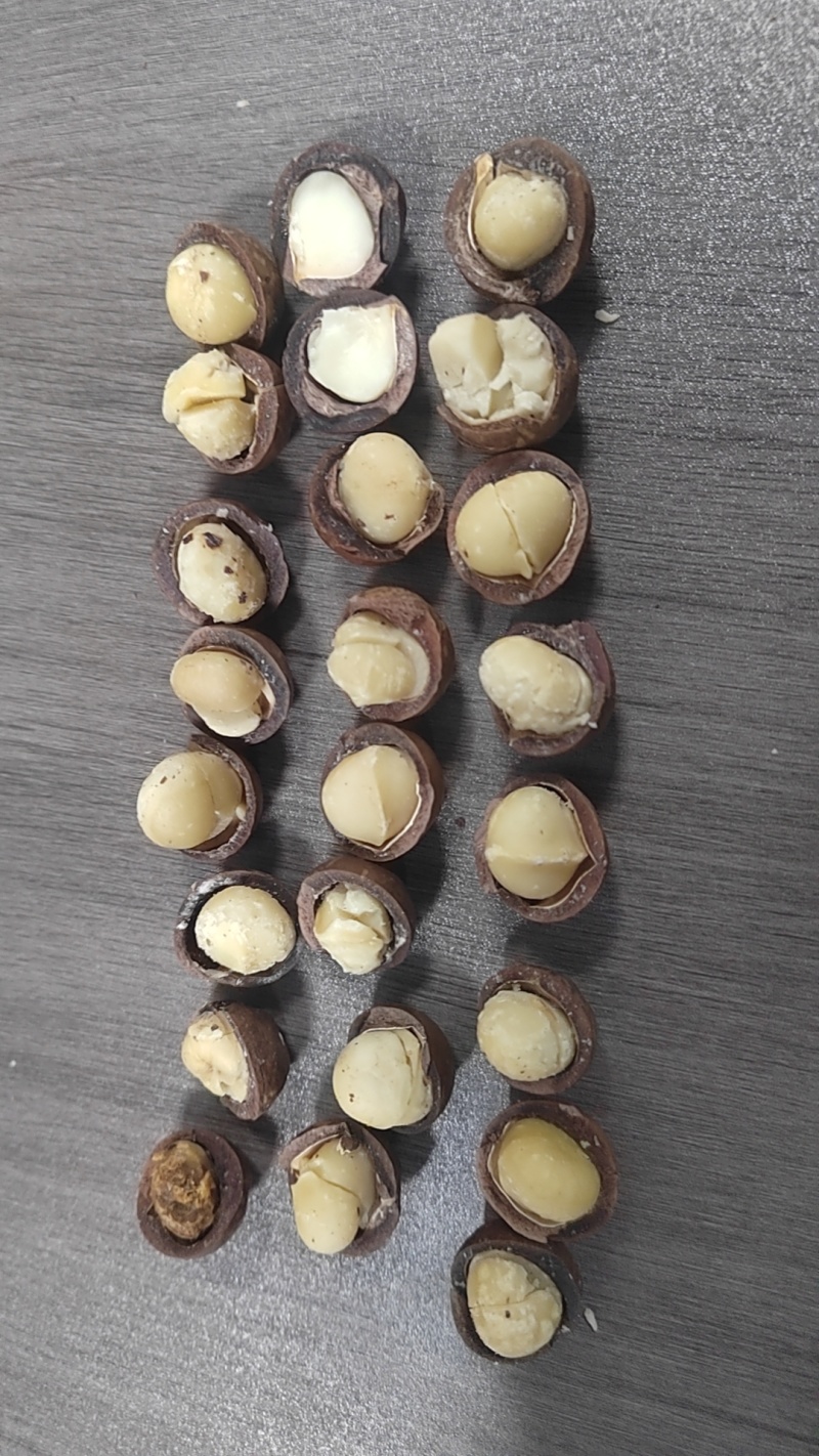 夏威夷果厂家直销，库存充足价格稳定品质保证，接代发批发拿货。