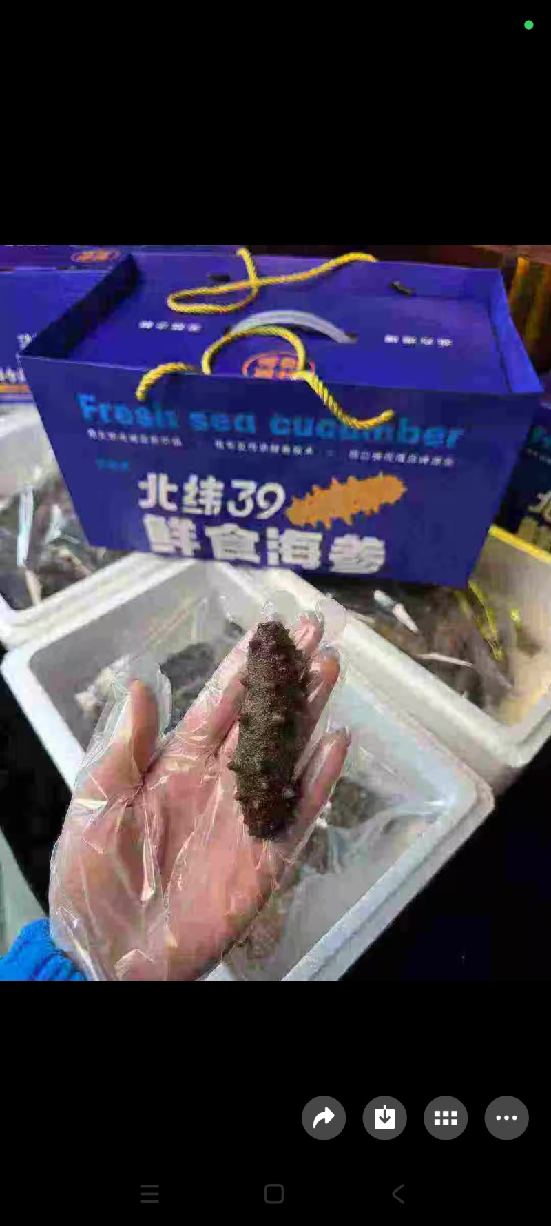 威海海参礼盒