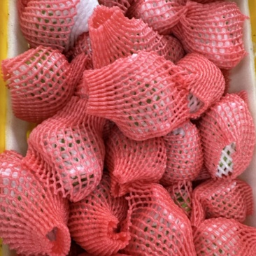 西瓜红珍珠白芭乐一键代发，市场精品货，品控成熟，广西源头产地