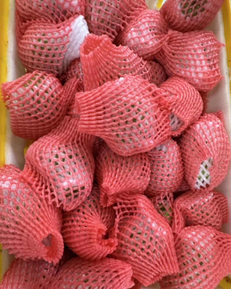 西瓜红珍珠白芭乐一键代发，市场精品货，品控成熟，广西源头产地