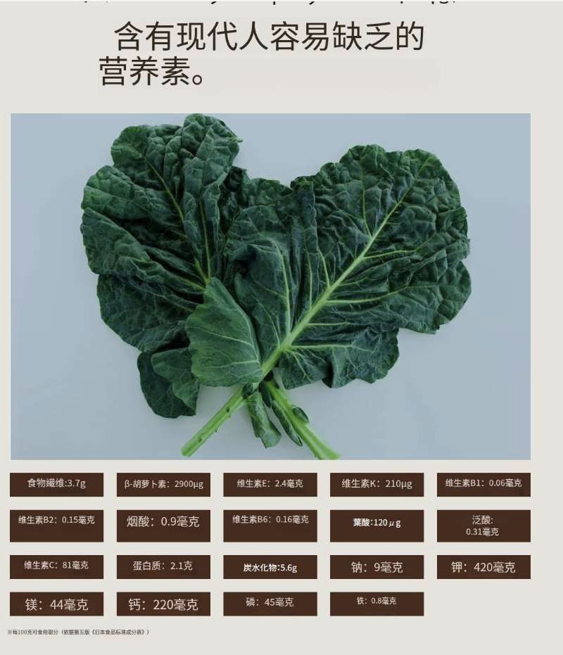 羽衣甘蓝新品