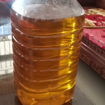 高山茶油