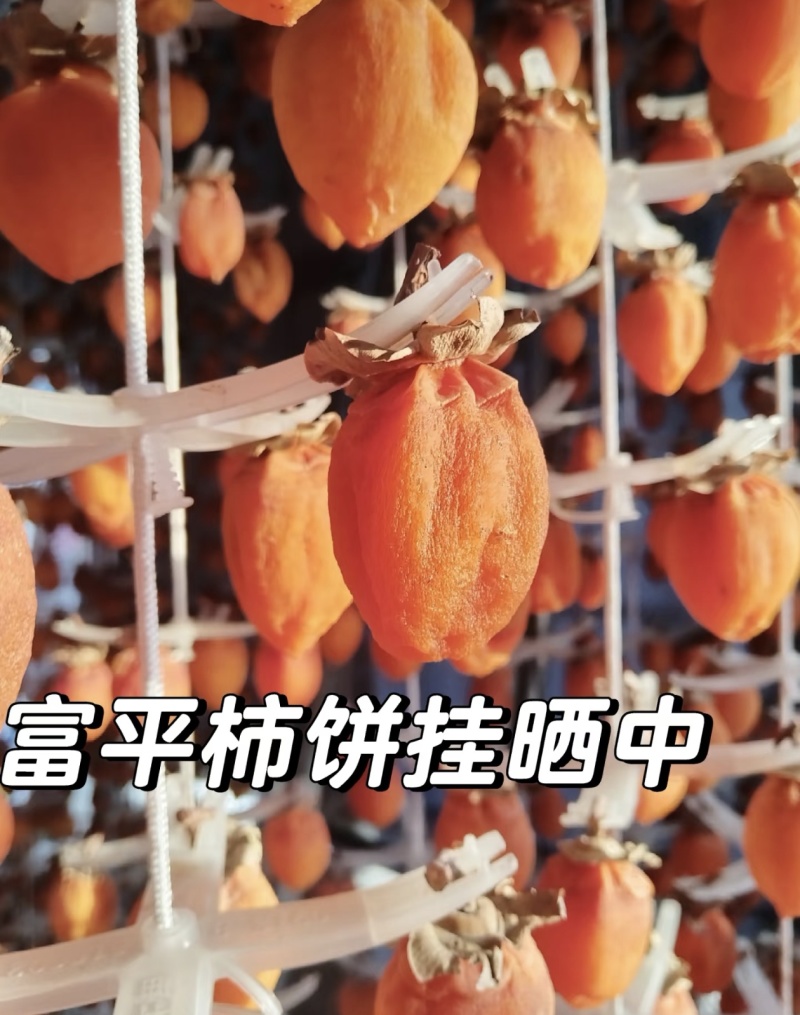 富平柿饼～