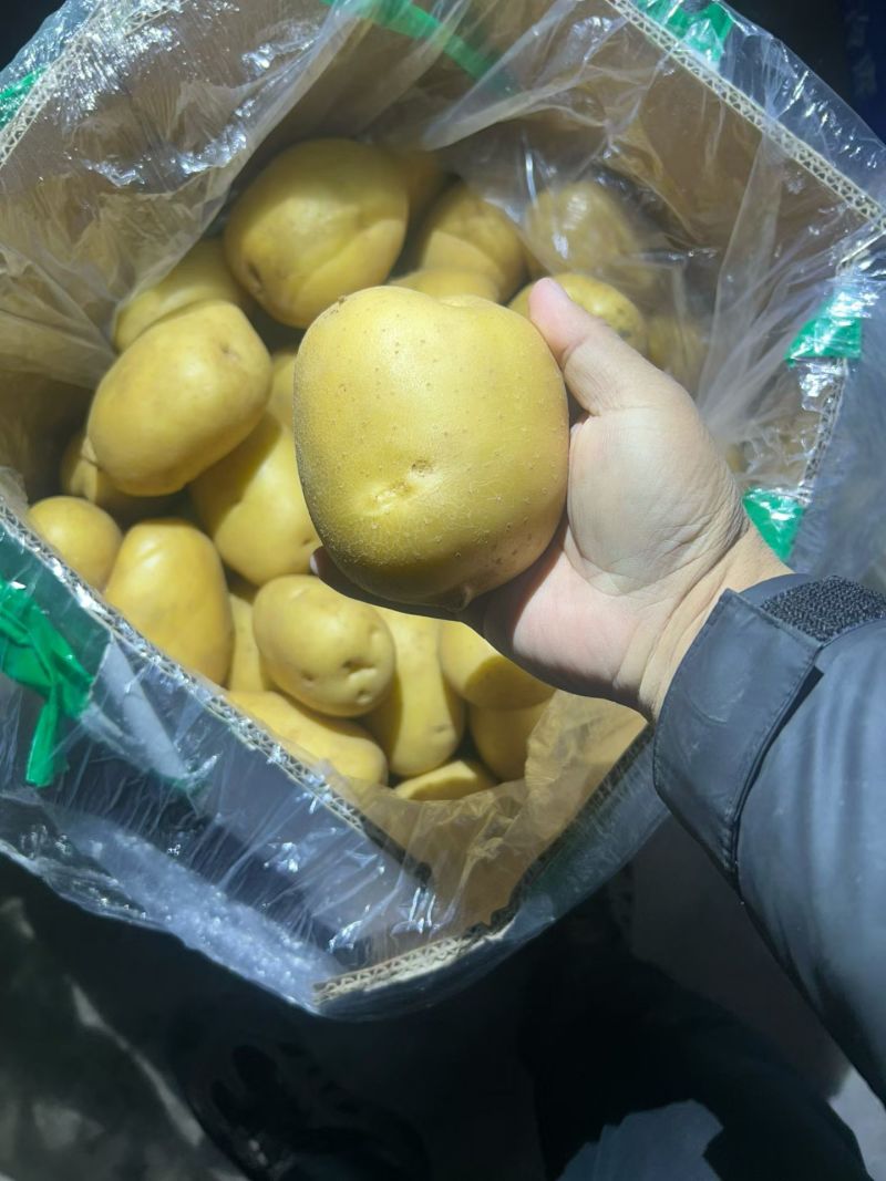 九恩十一，V7，实验一