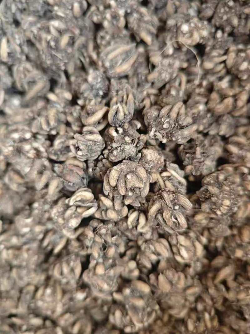 各种类型在线